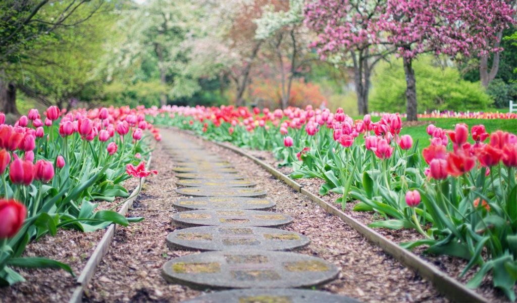 landscaper-homepage-work-01-1024×600-1