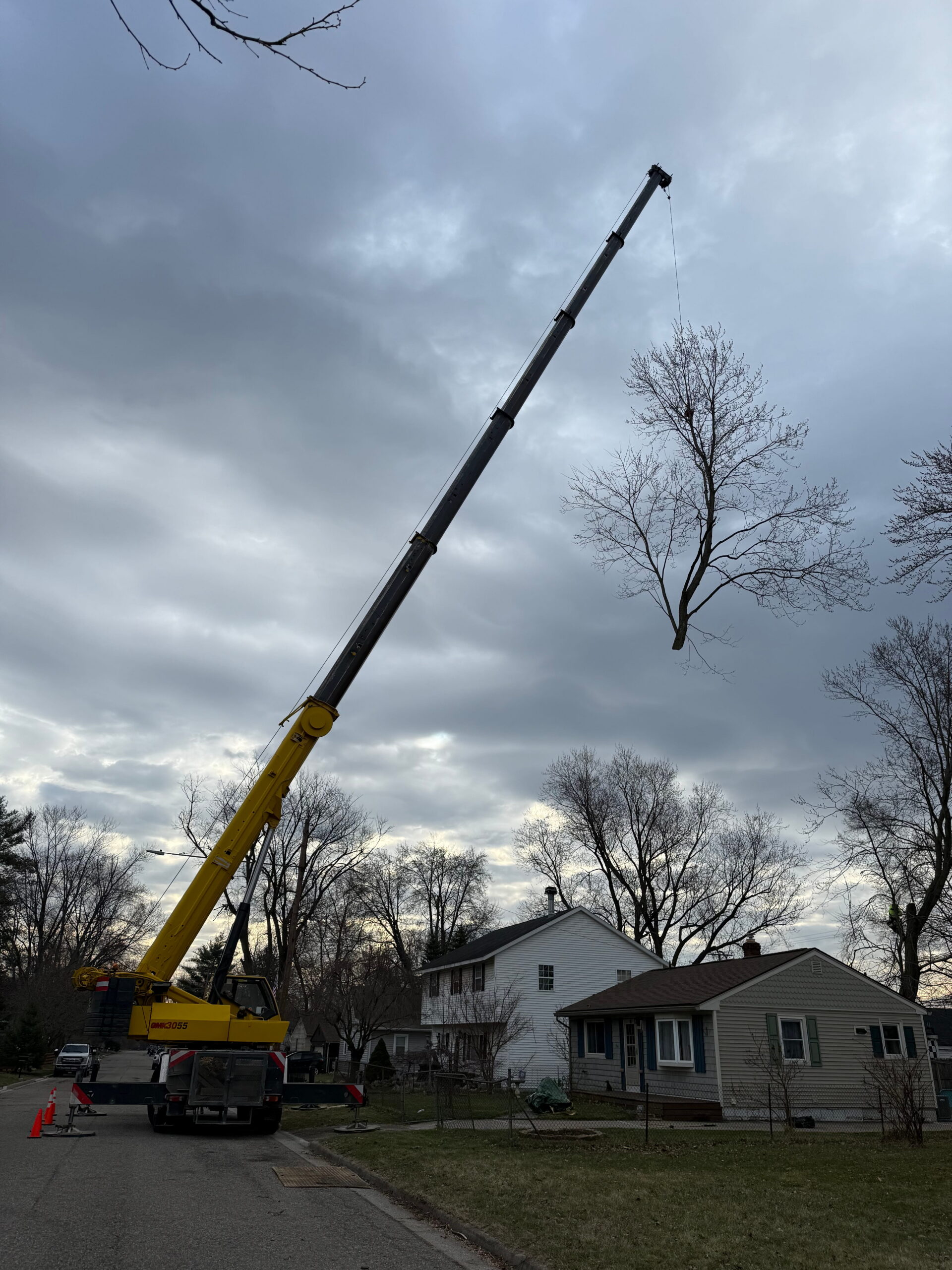 D6544296-5DAE-4E23-9C6F-80D17A34408D big branch